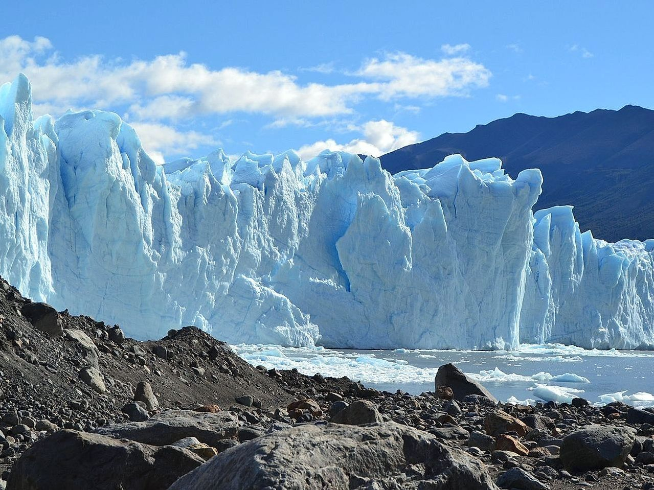 Grama alta curvada pelo vento constante